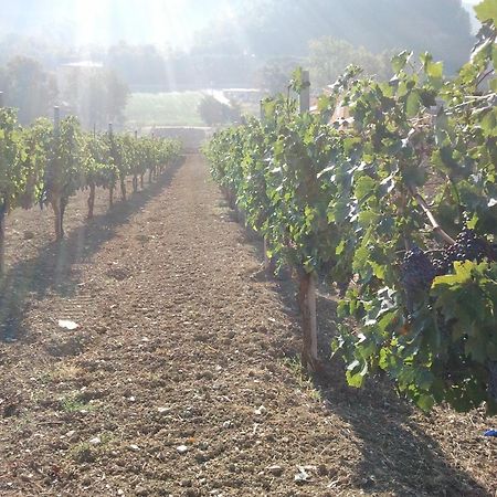 Agriturismo San Vito Crocemaroggia Eksteriør bilde