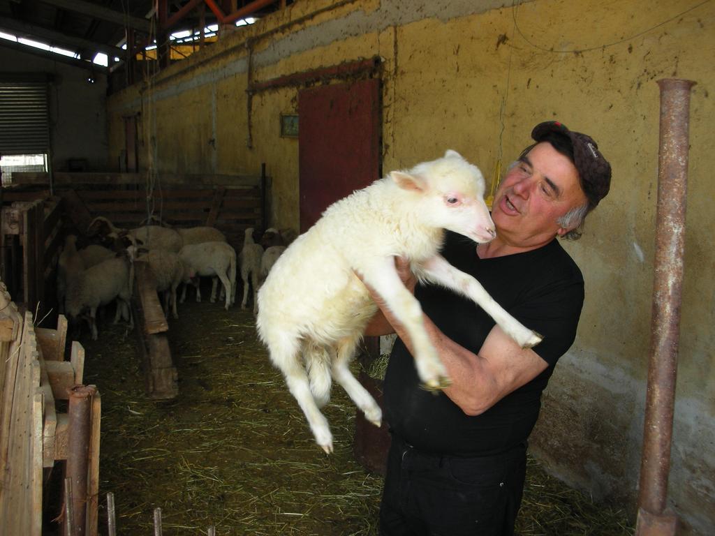 Agriturismo San Vito Crocemaroggia Eksteriør bilde